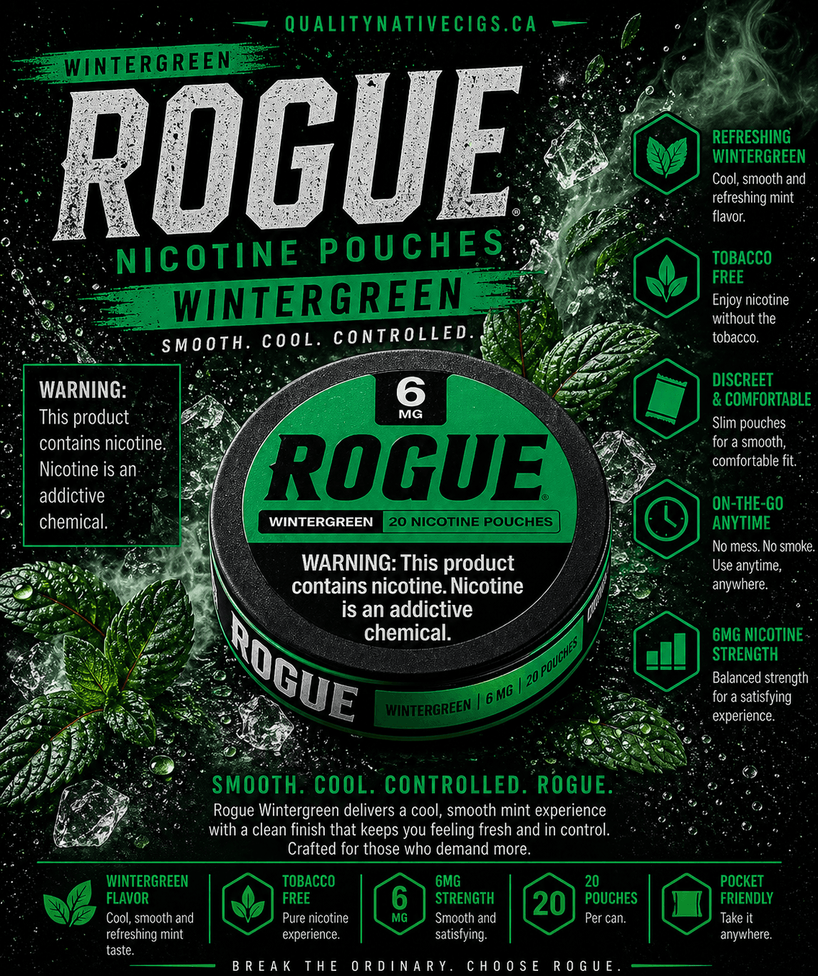Rogue 6mg Wintergreen Pouches
