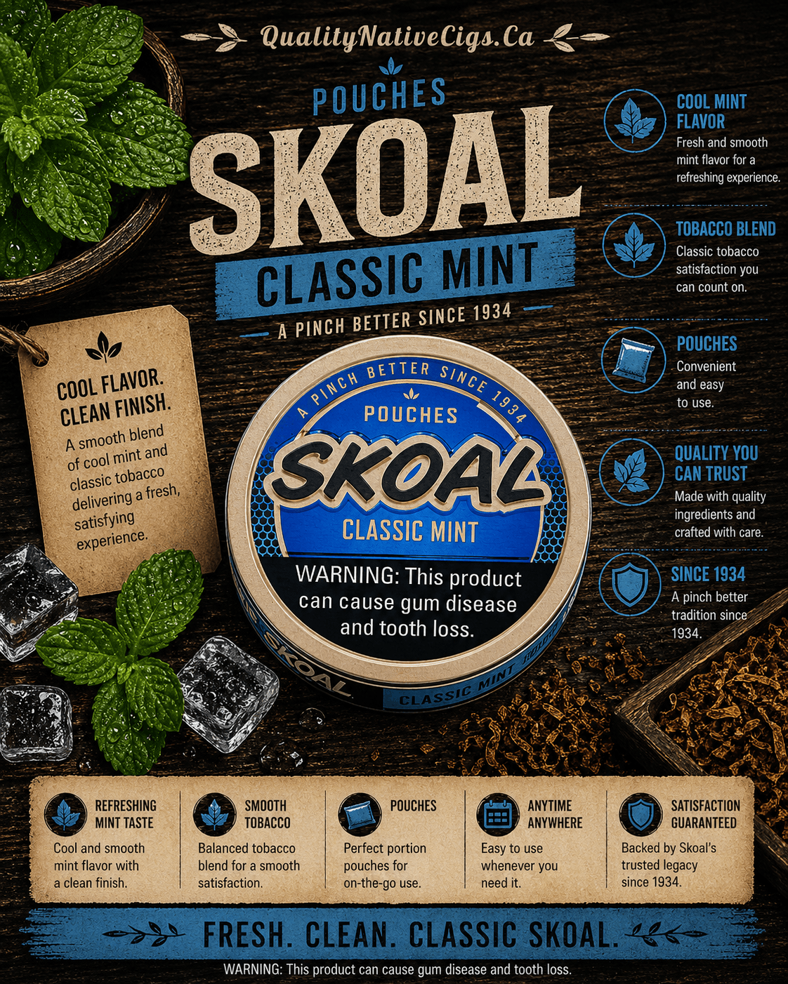 Skoal Mint Pouches