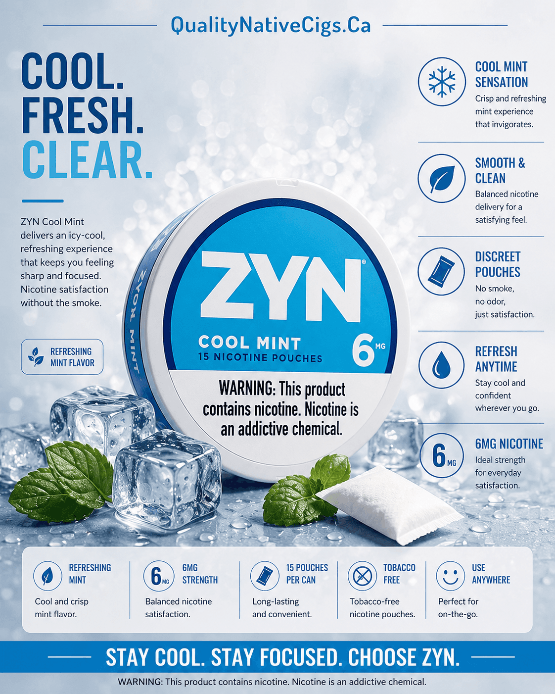 Zyn 6mg Cool Mint Pouches