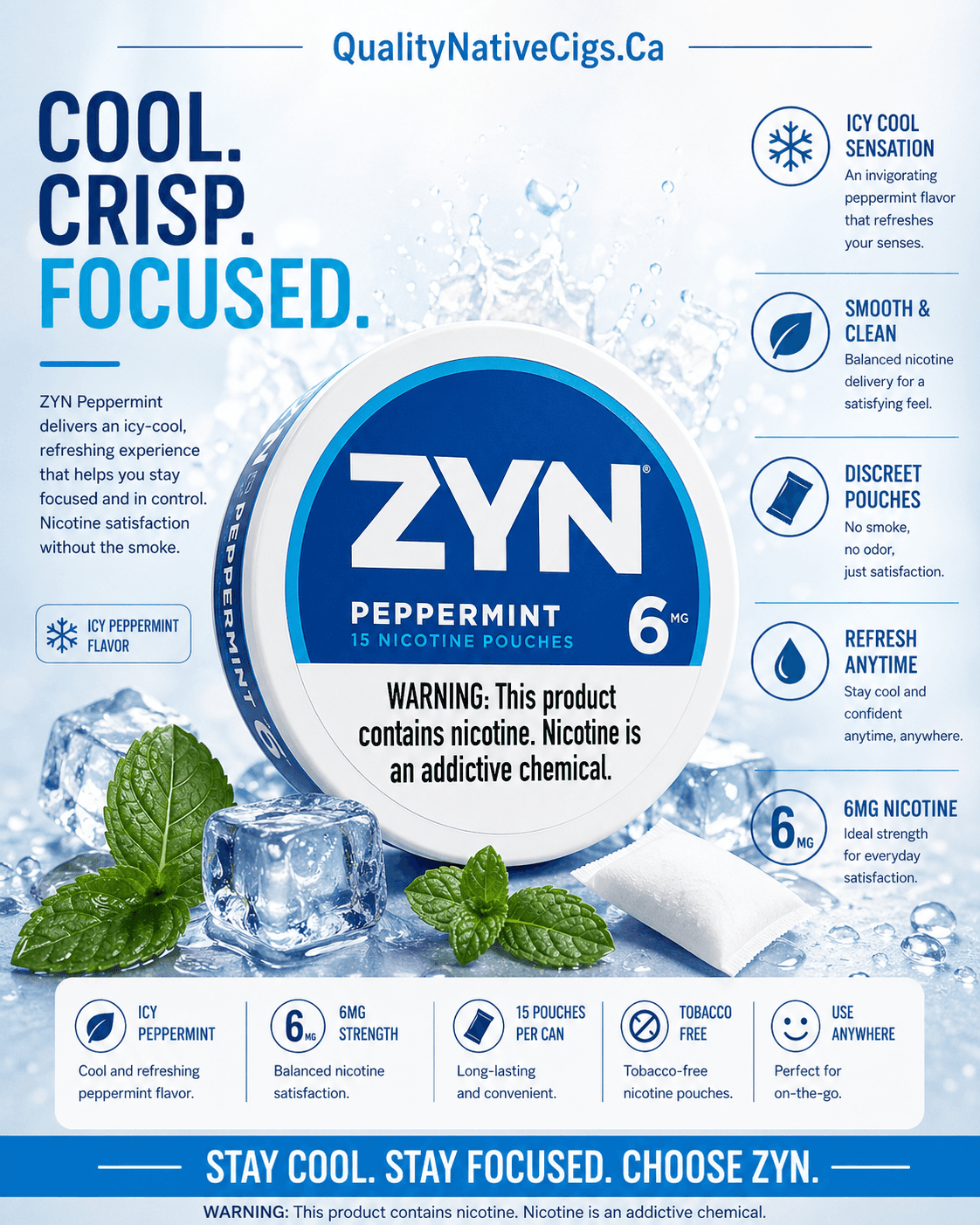 Zyn 6mg Peppermint Pouches