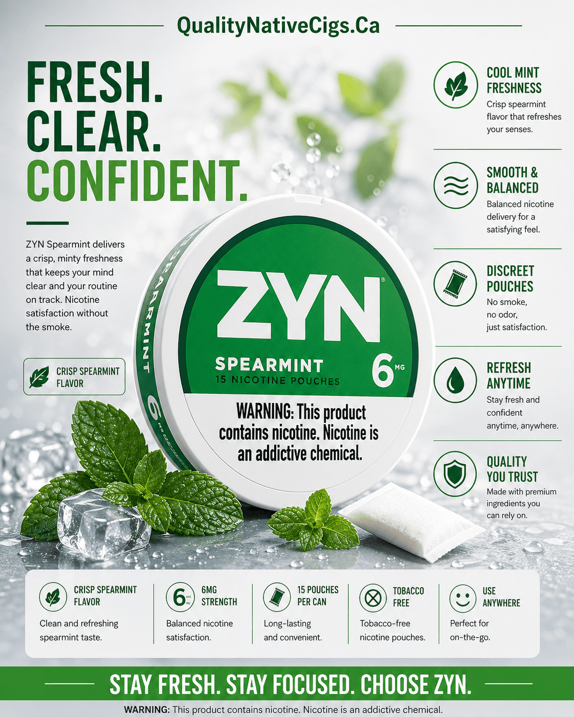 Zyn 6mg Spearmint Pouches