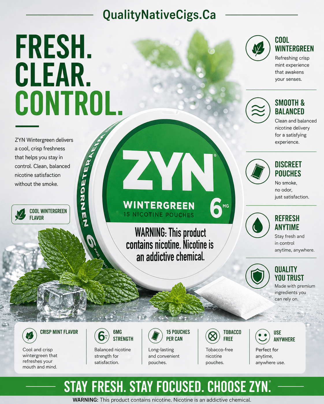 Zyn 6mg Wintergreen Pouches